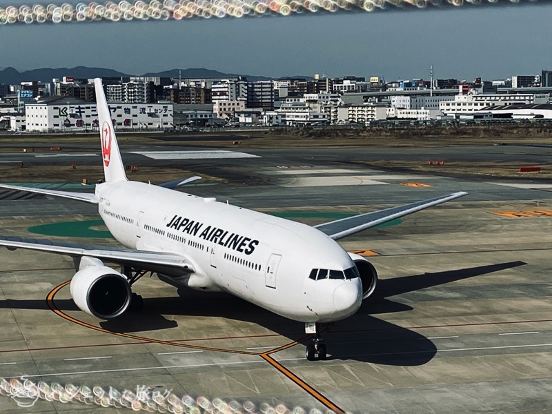JAL/JGC修行がサファイアステイタスに到達